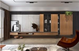 Гардероб за телевизор във всекидневна